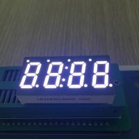 A exposição de segmento 0,49