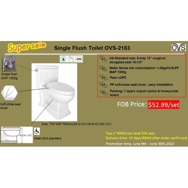 S поглощает безшовный шар туалетов Bathroom с дизайном высоты Ada