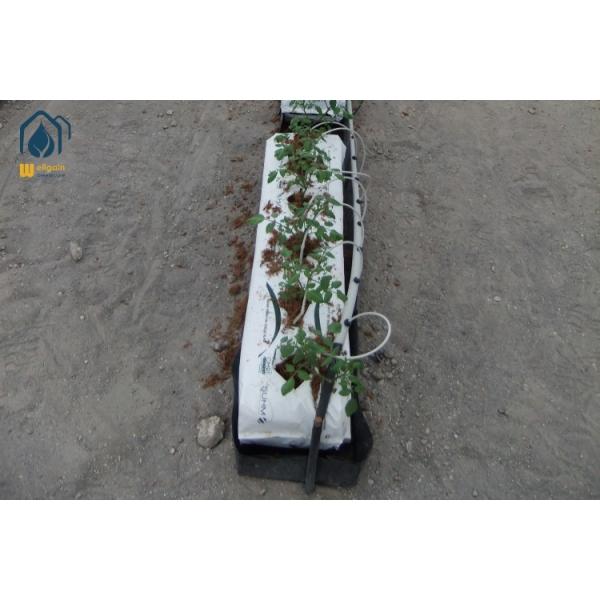 Hydroponic Greenhouse Growing Troughs Black / White Tomato Plant Trough