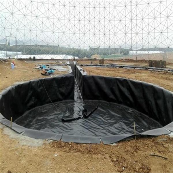 Geomembrana impermeável de HDPE, revestimento de impermeabilização lisa para lago de peixes de HDPE, impermeável