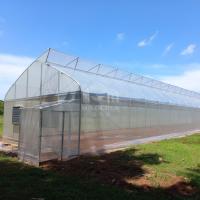 Estufas de polytunnel Túnel de ventilação de topo para vegetais
