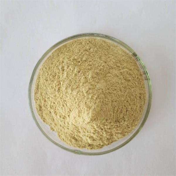 Pharmaceutical Grade Dried Ginger Powder Price