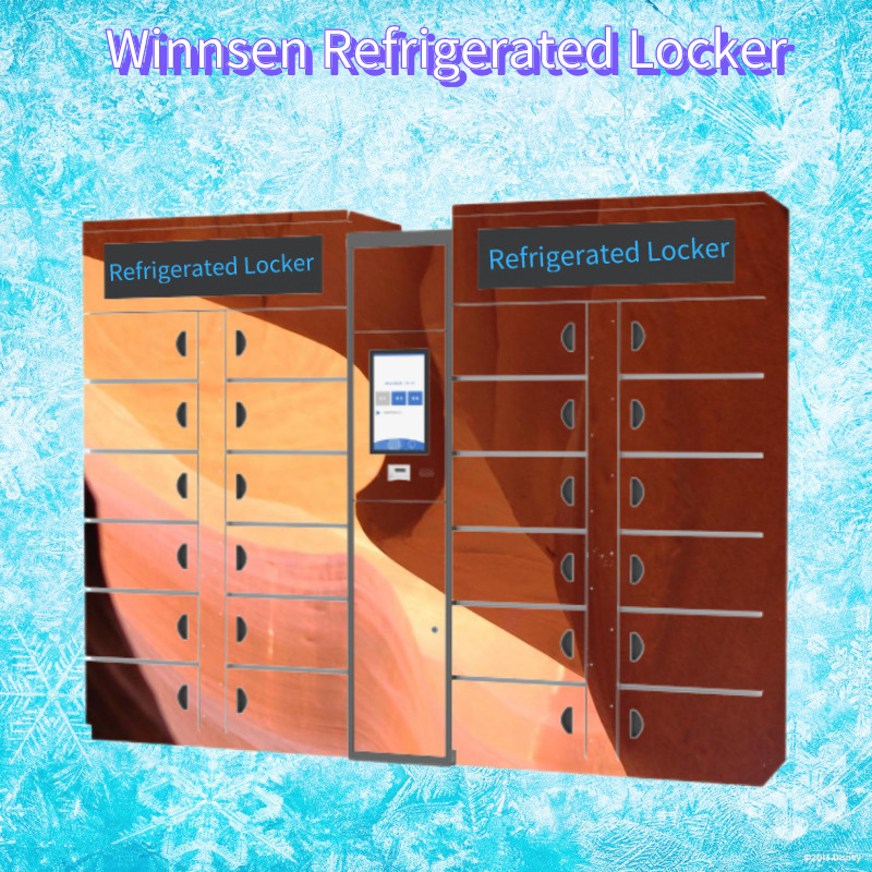 Шкафчики овоща шкафа шкафчика Winnsen умные Refrigerated электронные умные