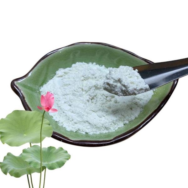 Functional Lotus Leaf Extract 10% 50% 98% Nuciferine Powder Pharmaceutical Grade