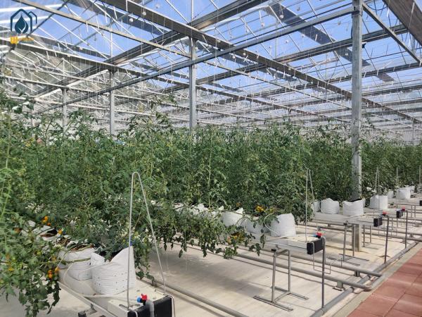 Greenhouse Steel Substrate Planting Gutter Agricultural Hydroponic System For Tomatoes