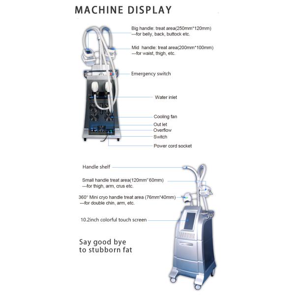 Professional cryo fat beauty machine fatest slimming weight loss cryo equipment LF-207B