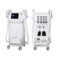 Cuerpo del CE el ccsme de la pérdida de peso que esculpe la máquina para la clínica de la belleza