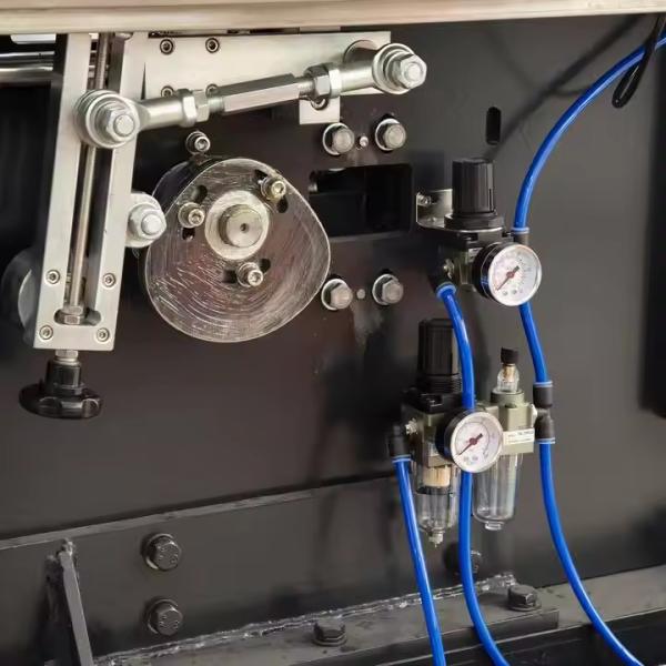 Machine à emballer des ampoules à grande vitesse 30 à 60 pièces/min pour les produits pharmaceutiques