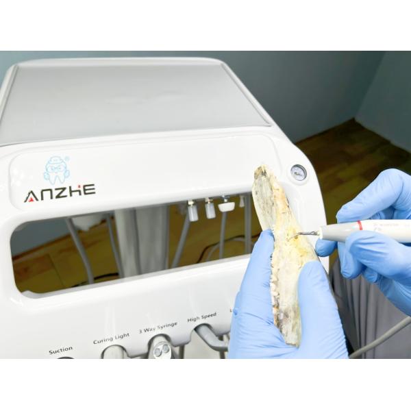 Ветеринарная стоматологическая рабочая станция