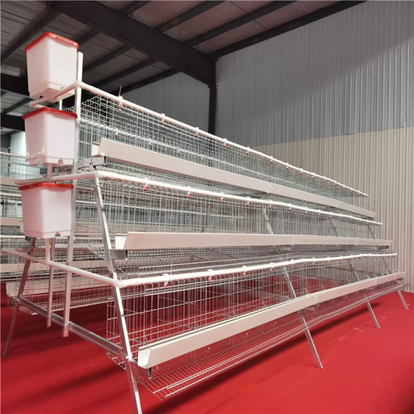 Modular H Type Chicken Egg Layer Cage with Hot-dipped Galvanization and Automatic Feeding System