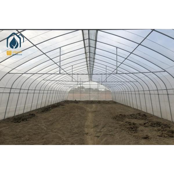 Farming Metal Frame Greenhouse High Tunnel Single Span Greenhouse Customized