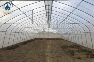 Serre agricole à structure métallique pour plastique, serre tunnel simple arche, pour plantes