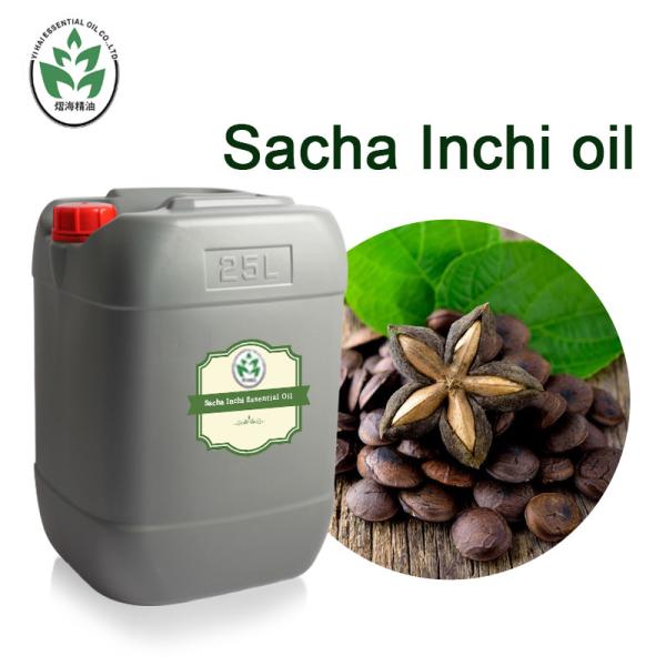 Cold Press Anti Aging Organic Sacha Inchi Oil For Skin Metabolism
