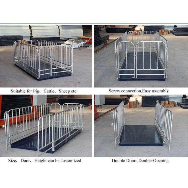 AC110V/220V alimentation électrique 1,2*1,5m 500kg 1000kg 1500kg Balance Balance de bétail pour le pesage précis du bétail à un