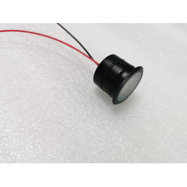 Black Finish LED Spot Light 1W 316 Stainless Steel Material Houing IP68 Underwater Light