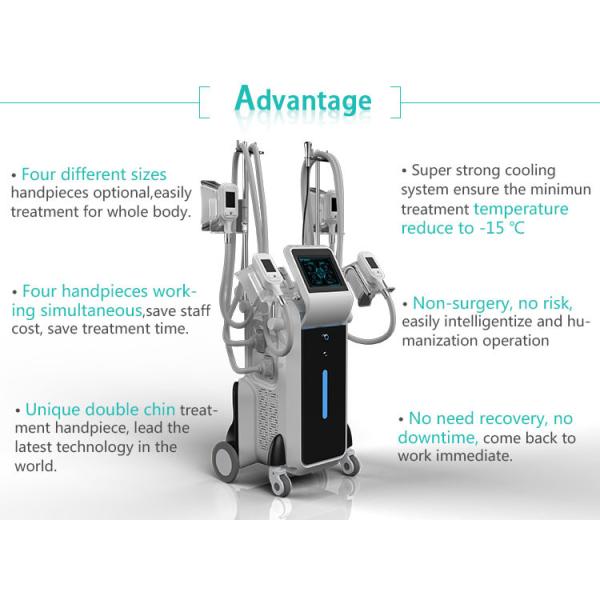 Beauty Spa use FDA approved multifunction cryotherapy slimming machine