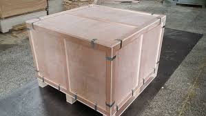 mango juice processing machine