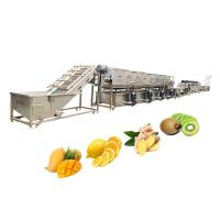 Máquina de limpeza de linhas de lavagem de bolhas OEM/ODM para vegetais frutas cogumelos