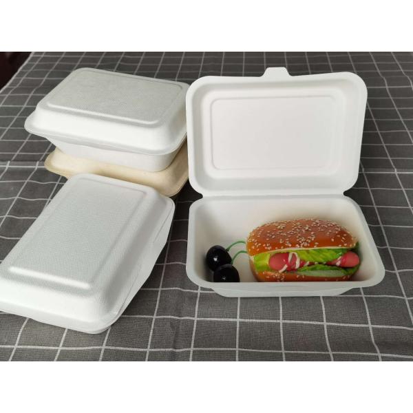 Eco Friendly Bagasse Clamshell Containers 271x182x45mm