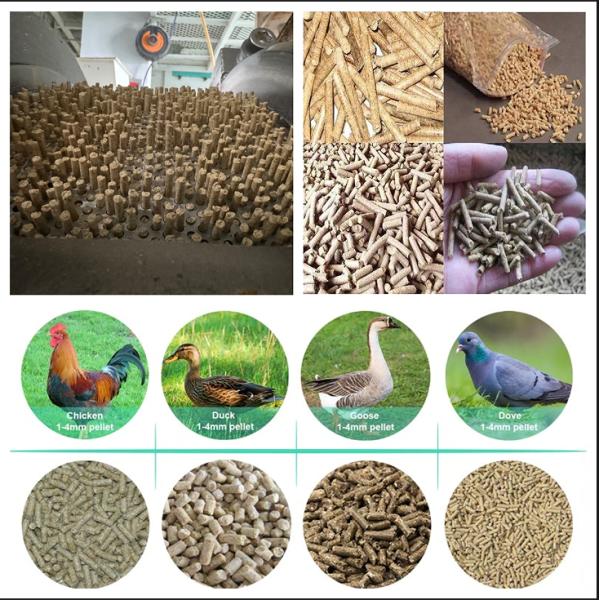 Customized Compression Ratios Muyang42 Pellet Die With Special Collar
