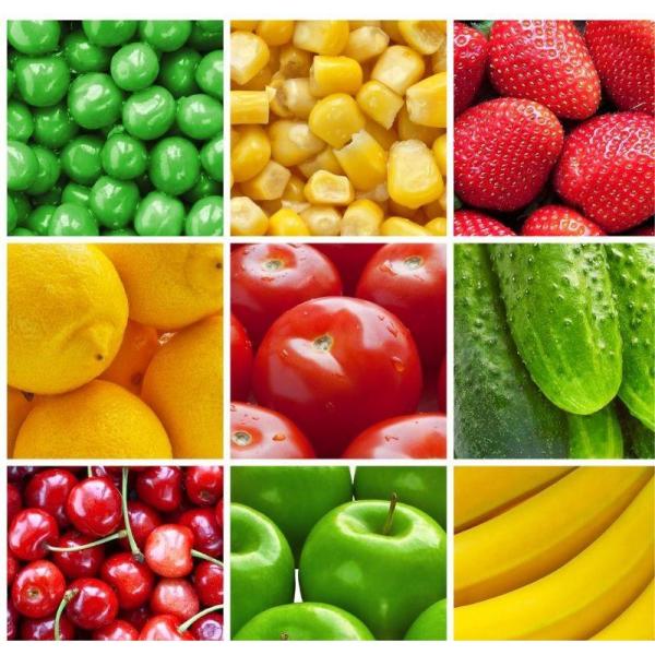 Промышленный вакуумный охладитель для овощей и фруктов с обеспеченным видеопросмотром