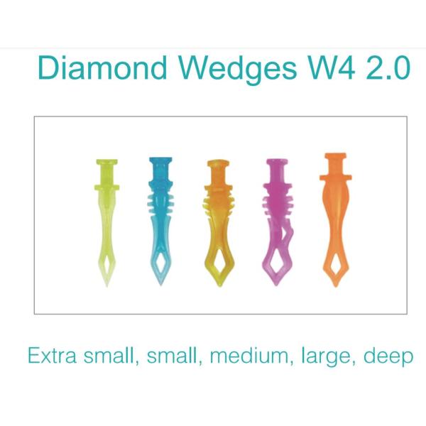 Dental Sectional Matrix System F2 Autoclavable includes Sectional Matrix Bands M2 + Resin Clamping Ring R3