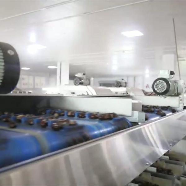 304 Stainless Steel Deep-learning Chestnut Sorting Machine: Robust, Durable, Continuous Learning