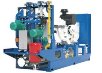 Blue White 50kw AC230V Oil Field Generators Natural Gas PF Control