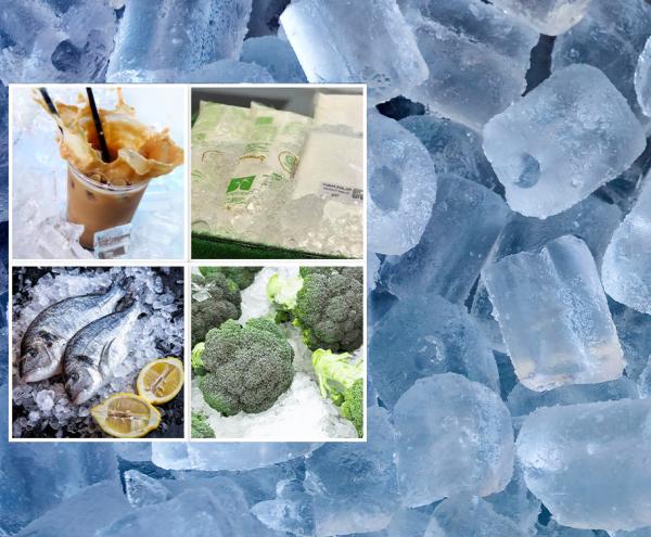 Ice Machine 2 Ton 1 Ton Block Making Industrial Commercial Ice Maker for Business Sale Philippines 1320x1000x1660 mm