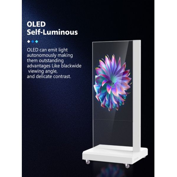 55 Inch HD Interactive Touch Screen Ultra Thin LG Transparent OLED Kiosk Advertising Display