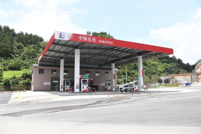 Construção 300m do dossel do posto de gasolina da gasolina de S235JR personalizados