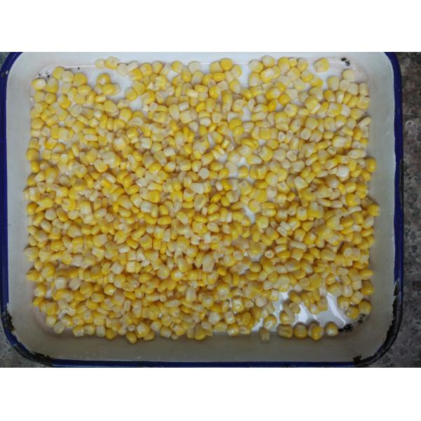 Мозоль урожая А10 особенного предложения новая желтая сладкая сохранила сладкую мозоль