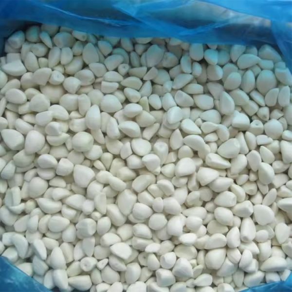 Organic High-quality Fresh Light Spicy Garlic New Crop Farm Grown Pure White Garlic Bulk Supply