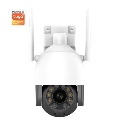 Câmara de segurança Whalecam exterior 1080P Wi-Fi do Smart Home com bandeja/câmera de Wifi da detecção movimento da inclinação