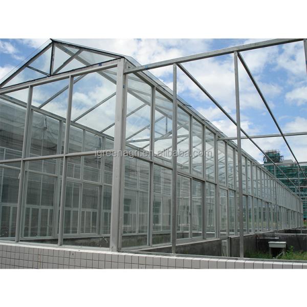 Glass Covered Industrial Greenhouse with 3.73-7.73m Roof Height and Glass Panels