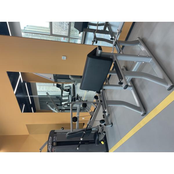 1170*800*1080 mm Arm Curl Bench for Biceps Curl Pin Load Selection Machines at Gym