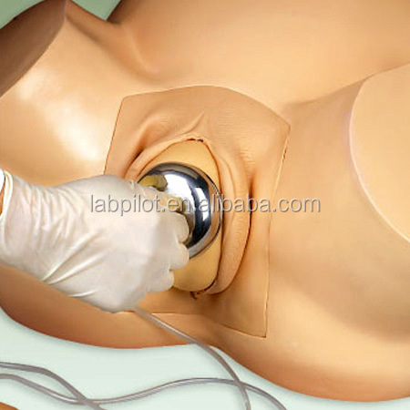 Vacuum Extraction Birthing Simulator for Midwifery Training Patients Care Demonstration