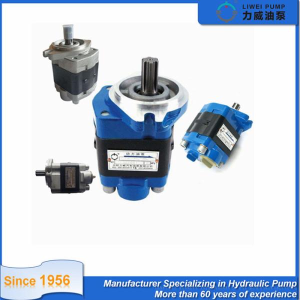 Forklift Spare Parts Hydraulic Pump F32 Series