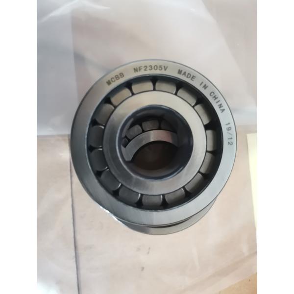 NCL2305V 25x62x24mm Full Complement Cylindrical Roller Bearings