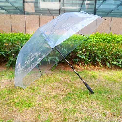 Large Size Automatic Open Transparent Umbrella With Straight Handle