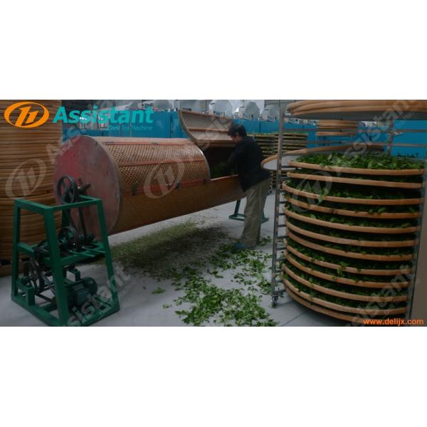 DL-6CYQT-6015 Quick Shake Green Machine for Shaking Oolong Tea Leaf Motor Power 0.75 KW