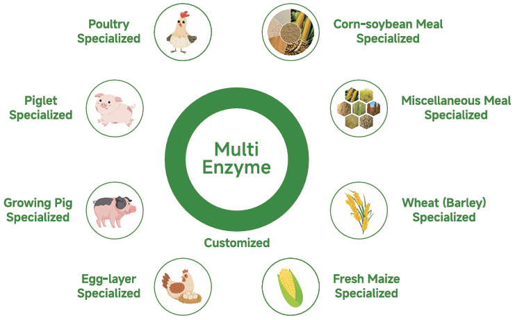 Habio Multi Enzyme NSP Enzyme For Animal Feed Livestock Poultry Customized