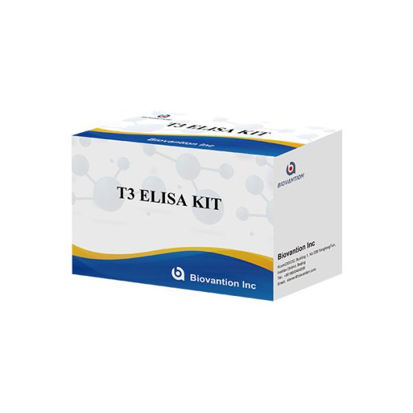 Triiodothyronine T3 Elisa Test Kit 96 Tests Elisa Blood Serum Test