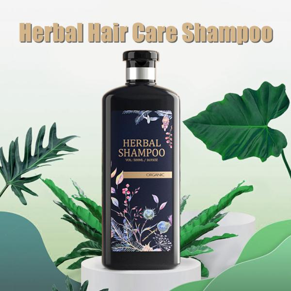 Anti Hair Loss Shampoo And Conditioner Argan Oil Anti Dandruff  Private Label