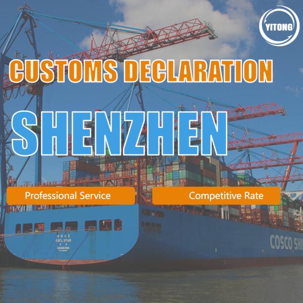 DDP FOB Customs Cds Customs Declaration Form China Export In Shenzhen