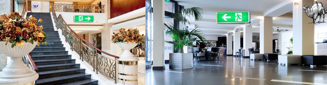 Luz de emergencia antipánico LED para salida de emergencia IP66 para hotel, verde, centro comercial, estación de tren, escuela, supermercado