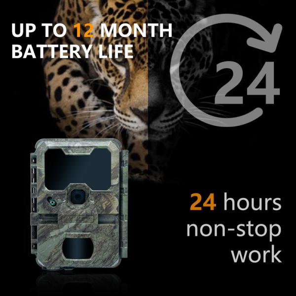 Câmera de caça KW788 à prova d'água IP67 vídeo 4K 32MP fácil de navegar uso simples robusto longa hora de trabalho