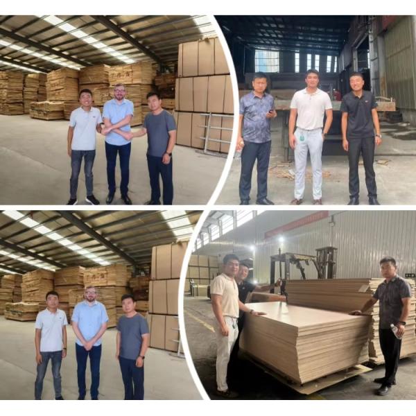Modern Pine Shuttering Anti-Slip Plywood for Construction 4x8 9mm 12mm 15mm 18mm 21mm
