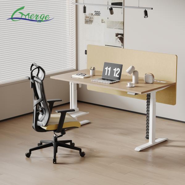 Modern Work Office Desk with Cable Management Uplift Standing Desk 355 Lbs Weight Capacity Modern Style