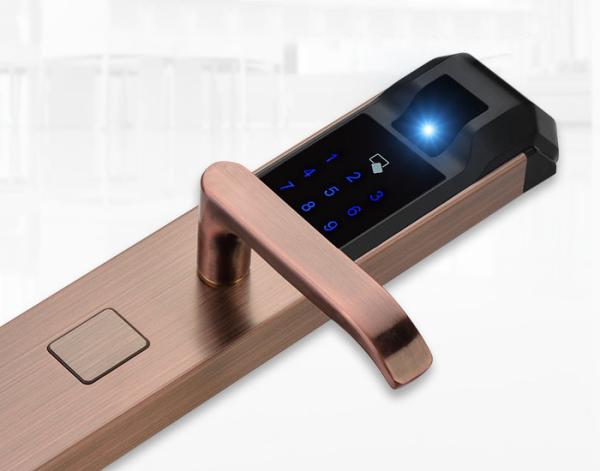 Competitive Price Zinc Alloy Fingerprint Door Lock With M1 Card For House Apartment